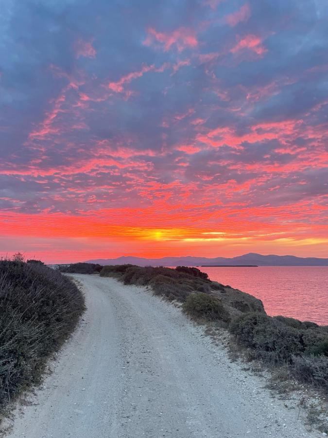 Sunkiss Paros Leilighet Drios Eksteriør bilde